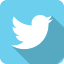 Share on Twitter